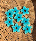 Aloha Bleu Clair