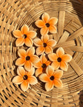 Aloha Jaune