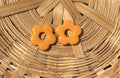 Anémone Orange